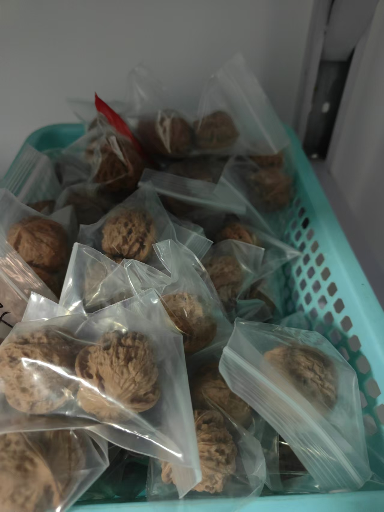 随机文玩核桃一对