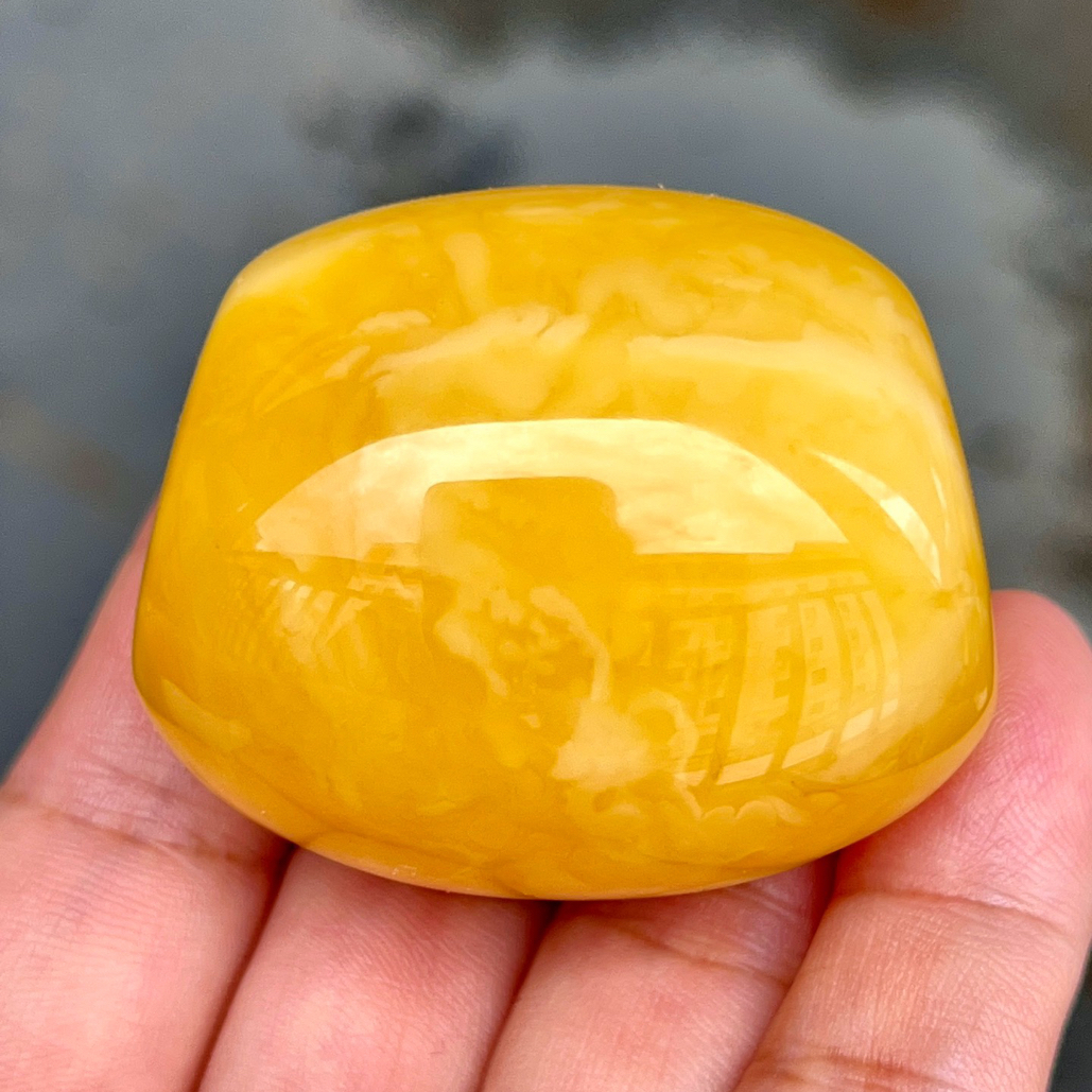 焦皮料红花蜡马蹄珠