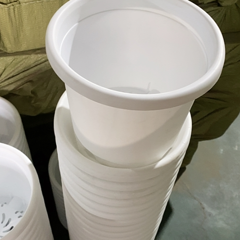 树脂四季3号6个带托白色