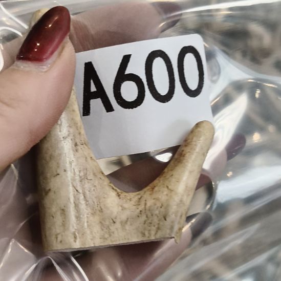 义***鹿角鹿角鹿角鹿角鹿角鹿角