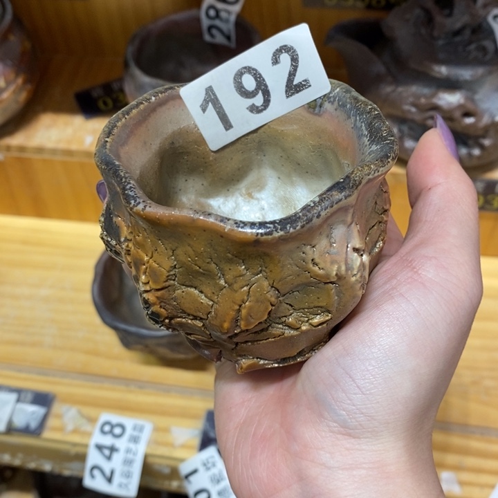 杯柴烧肉等特色菜式