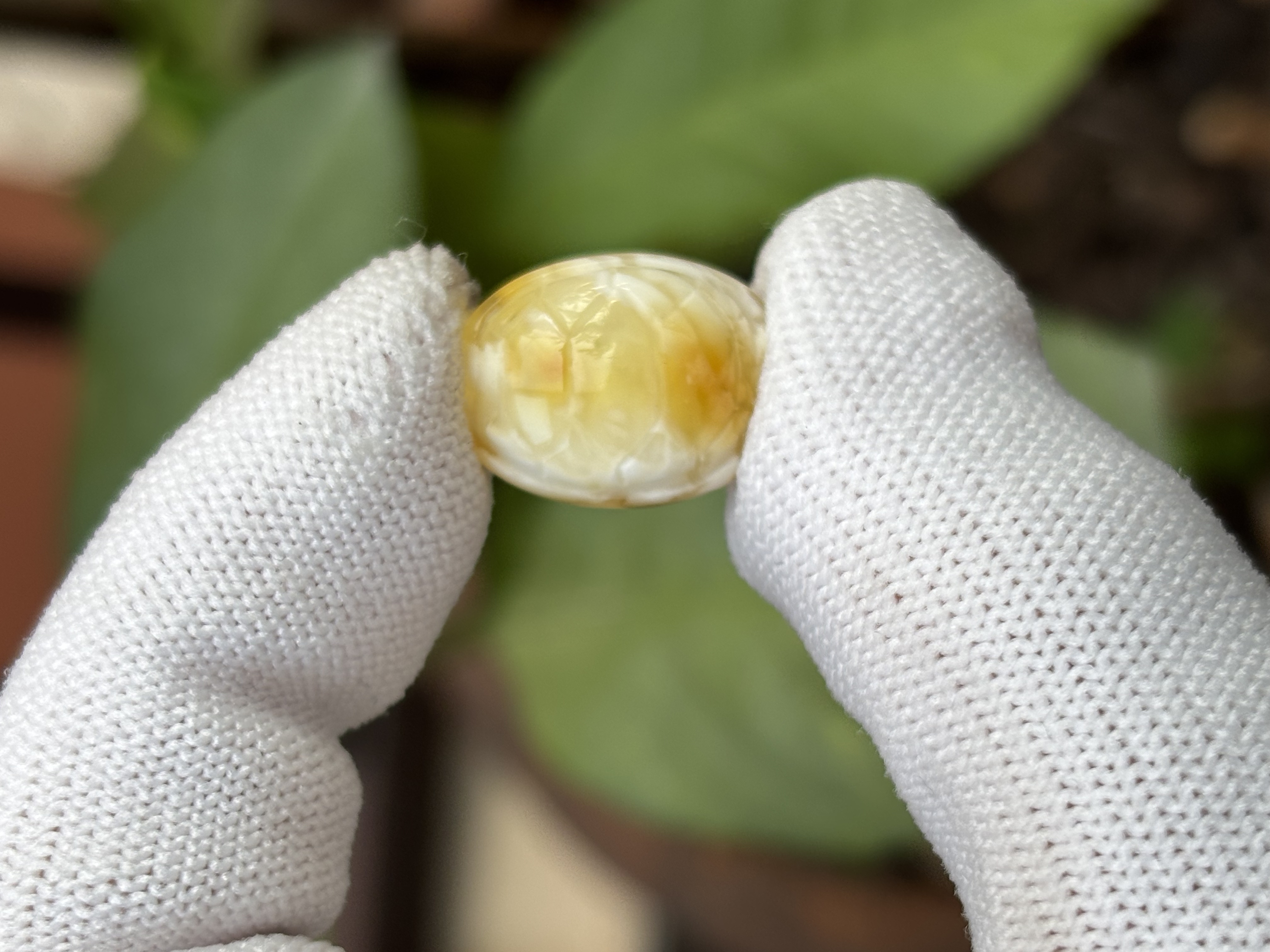 4862天然蜜蜡琥珀富甲配饰13.4x16.9x8.4mm