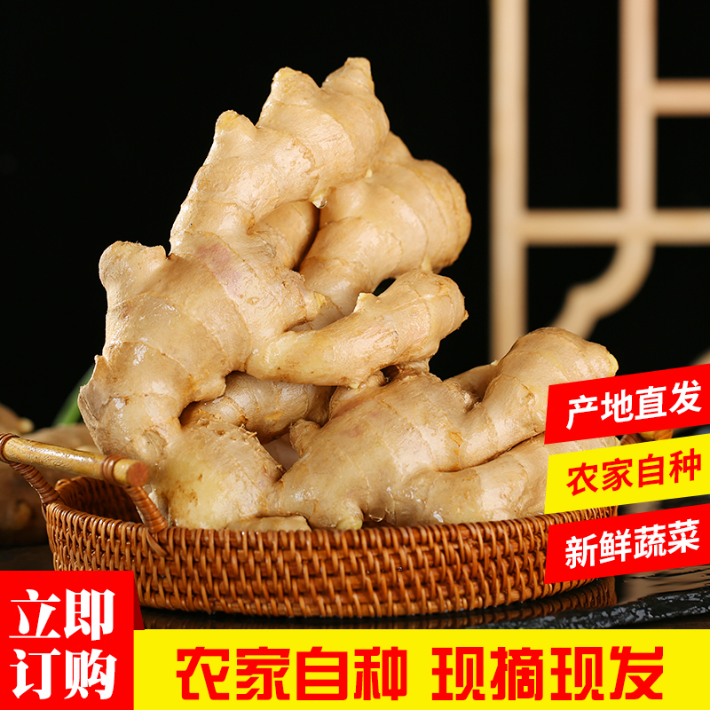 山东新鲜生姜大姜现挖农家自种黄姜包邮产地直发