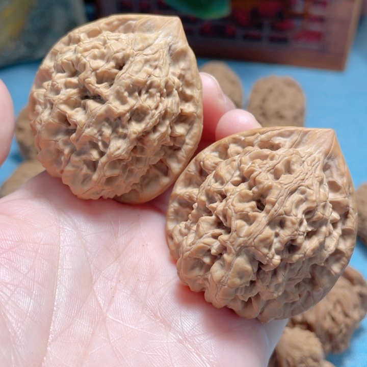 44尺寸原桩官帽骨质好