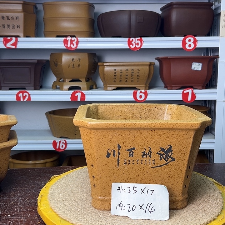 紫砂花盆蛇年大吉