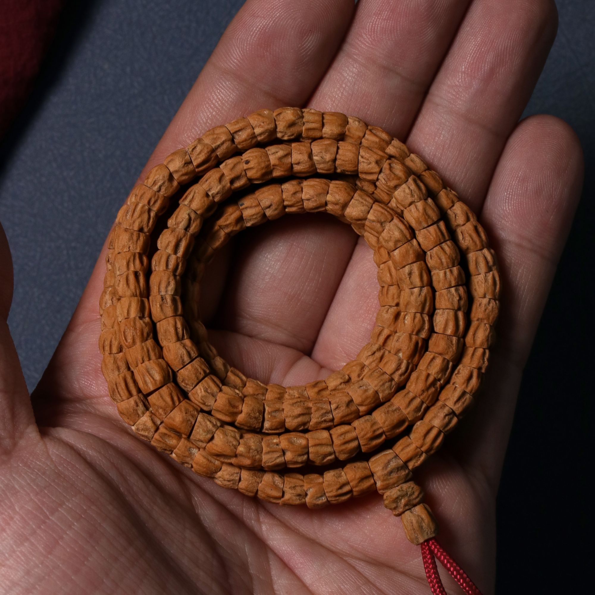 【天然红】陈籽红皮干净归圆顺鬼大肠高油高密热振百香籽长串长串