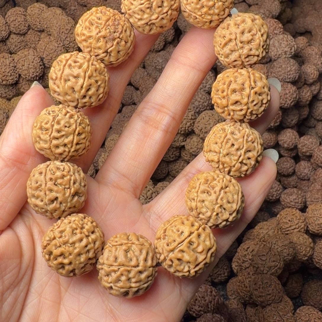 手串金刚菩提8瓣卡20尺，31号