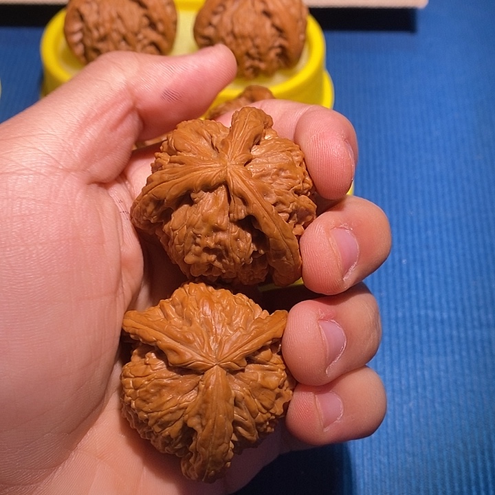 S***o文玩核桃把件白狮子三棱