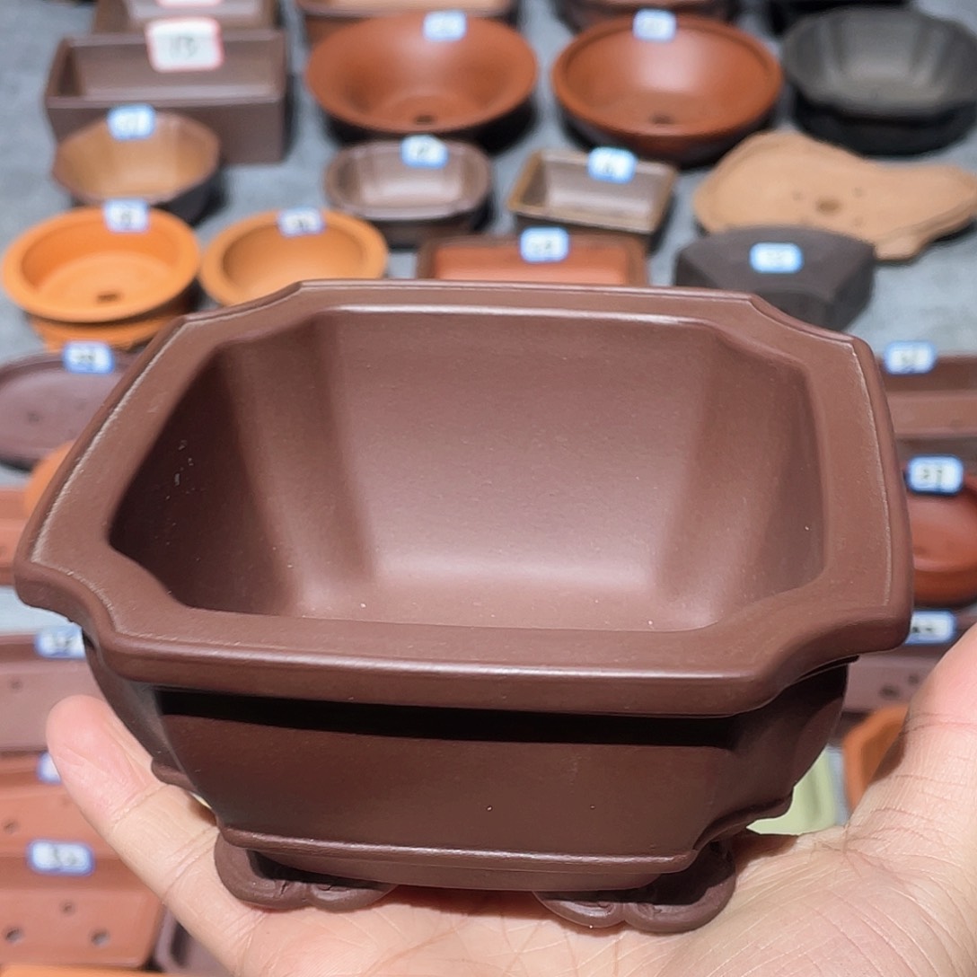 紫砂紫砂小盆10.5*5