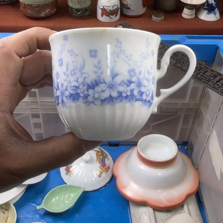 碟开播了开播了开播了