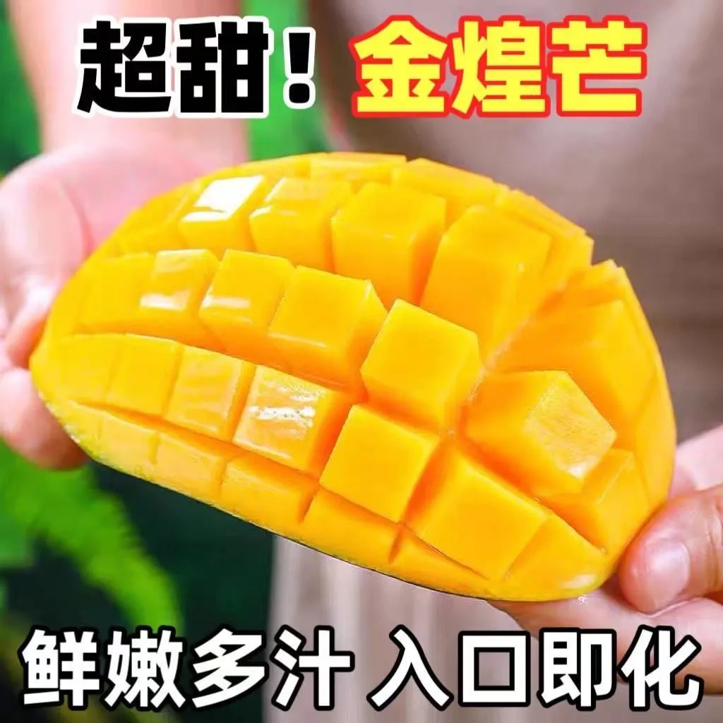 【广西青皮金煌芒】10斤装正宗百色金煌芒大青芒产地直发