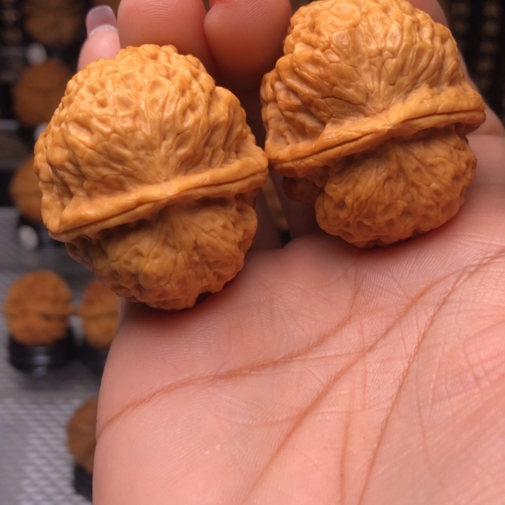 橄榄核把件10卧莲金蟾