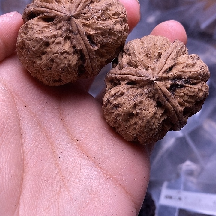 把件文玩核桃   87