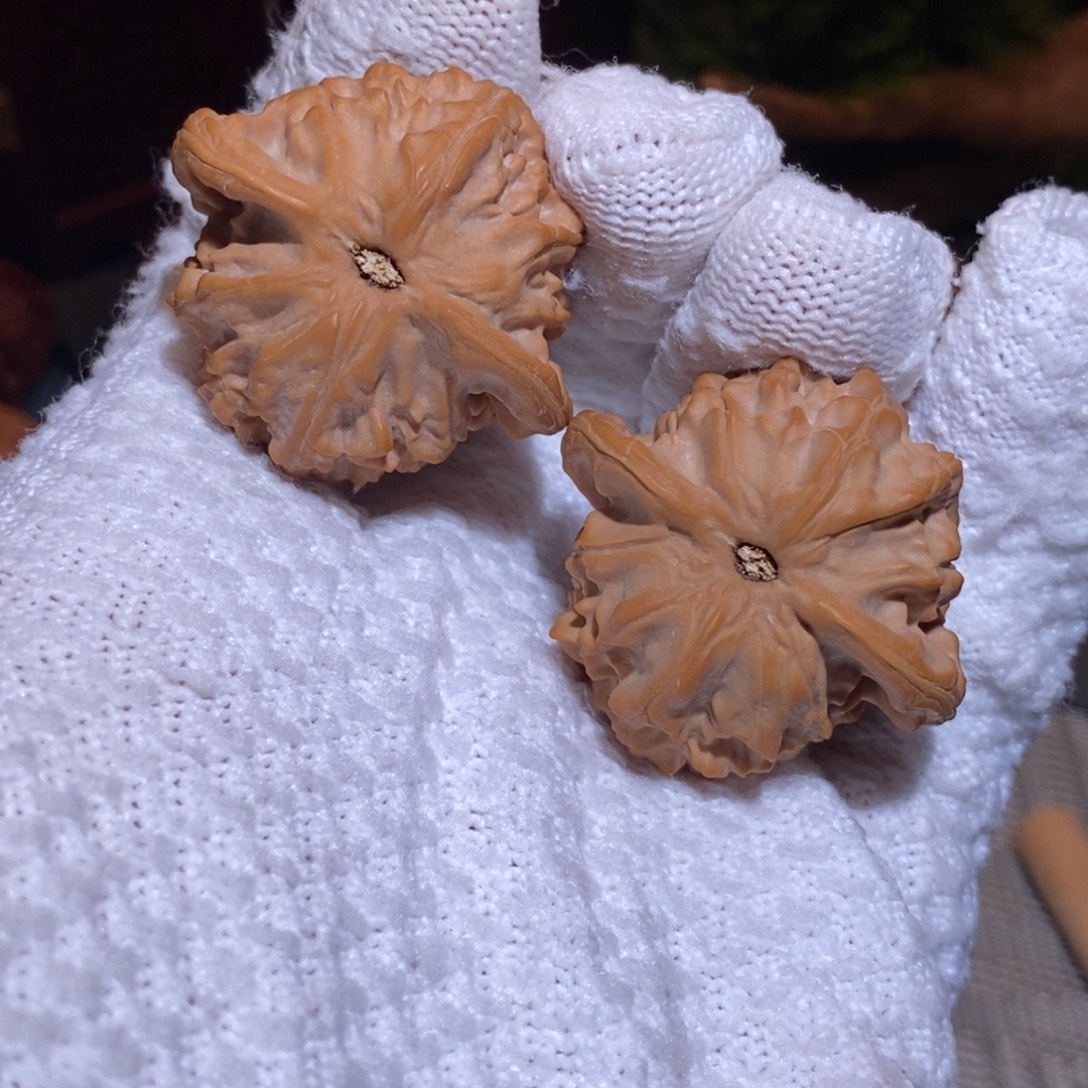 41尺 全品无修白茬 图图