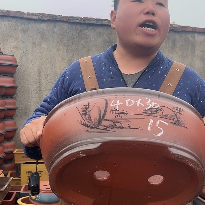 紫砂紫砂花盆盆栽