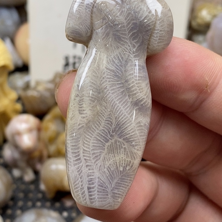 硅化珊瑚（珊瑚玉）未镶嵌颈饰