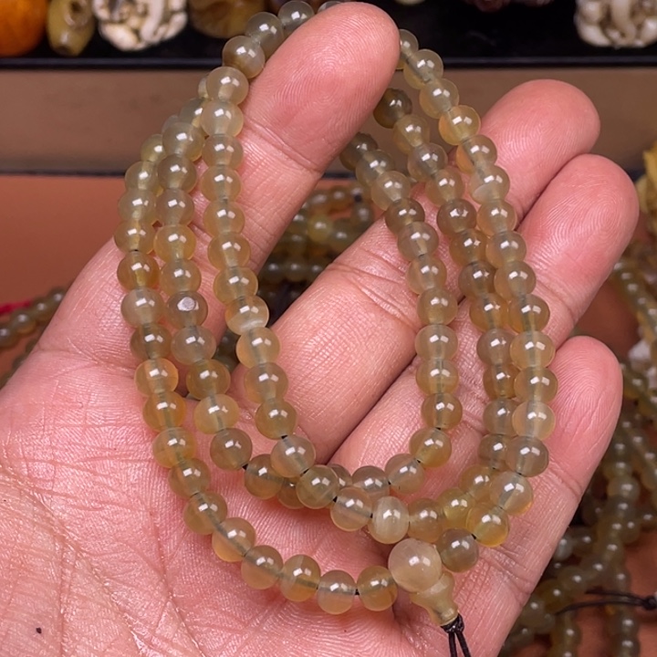 驼骨其他人工养殖