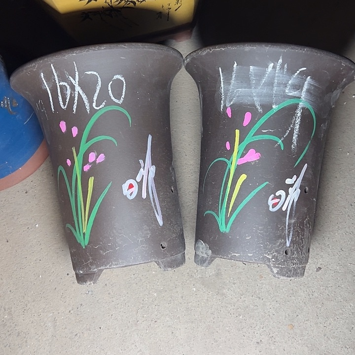 周深周深周深周深 