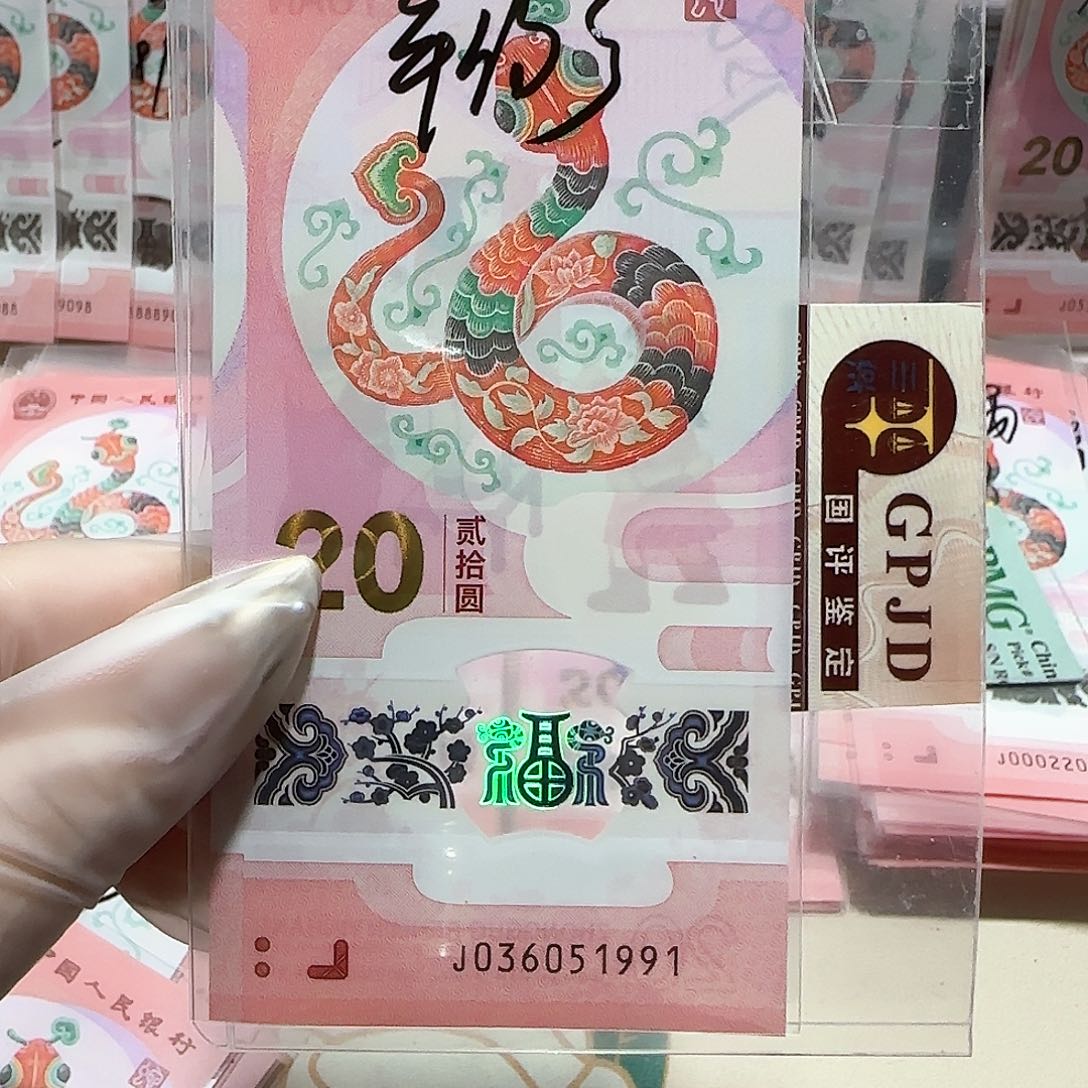 纸036051991。。。。。。年份