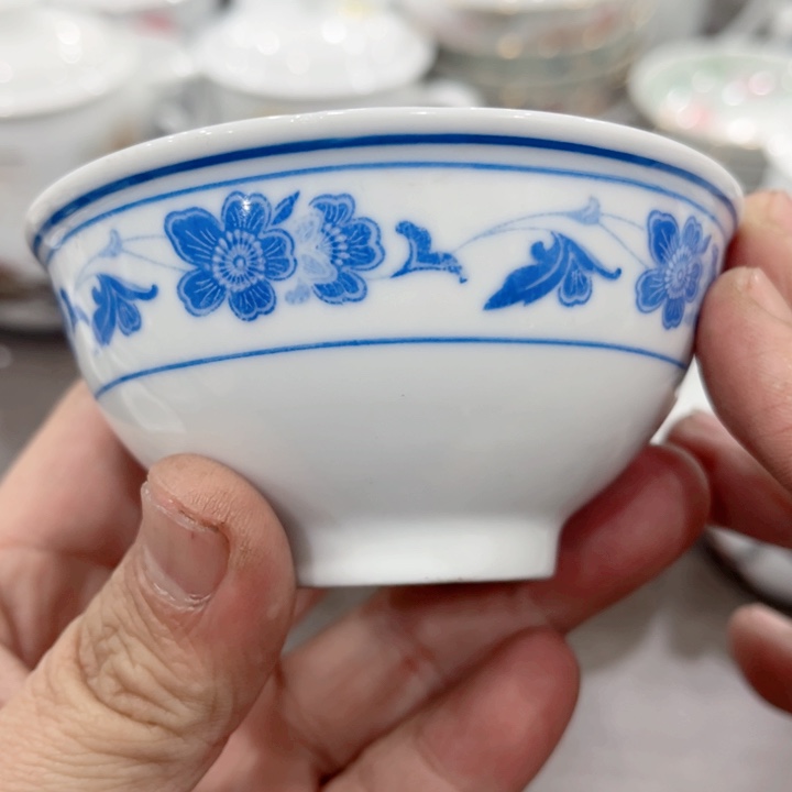 壶釉下五彩的瓷器和瓷器