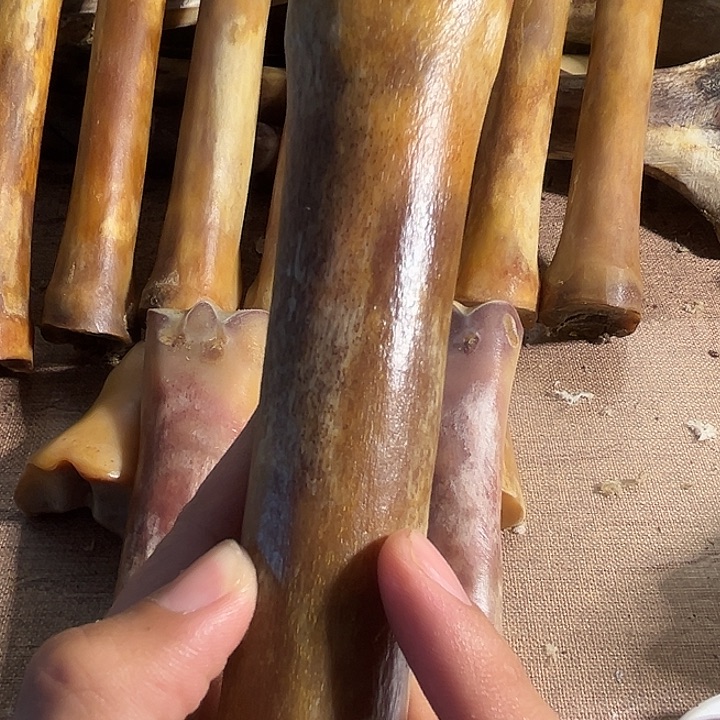 yy驼骨整根整根整根整根
