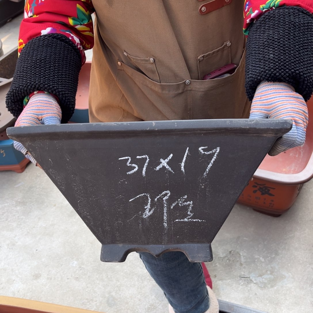 紫砂花盆盆景艺术