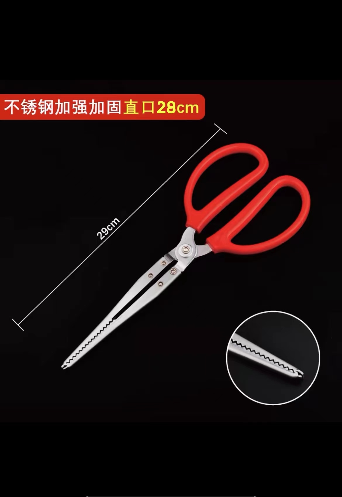 户外同款夹子夹黄鳝夹泥鳅夹螃蟹夹龙虾夹鱼赶海4