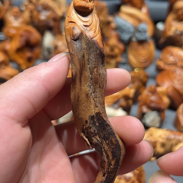 柏木（崖柏）点点关注，感谢分享