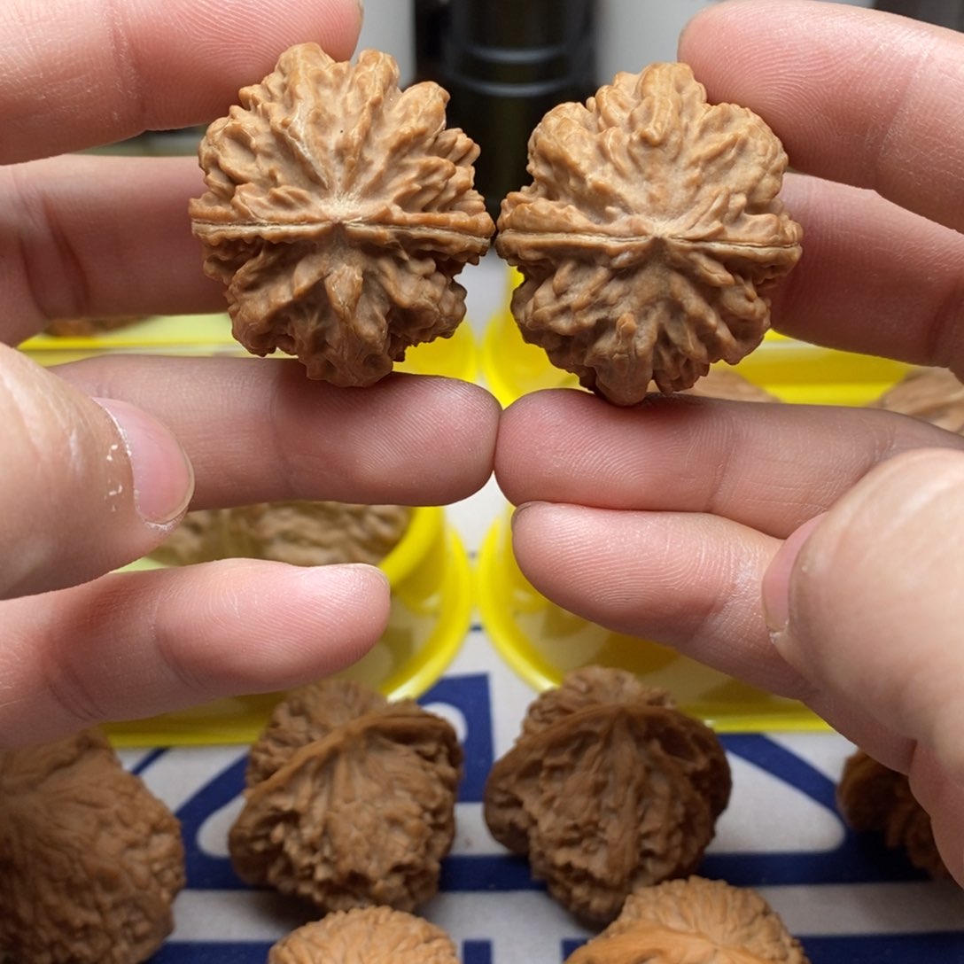 核桃把件3.2cm霸王龙的