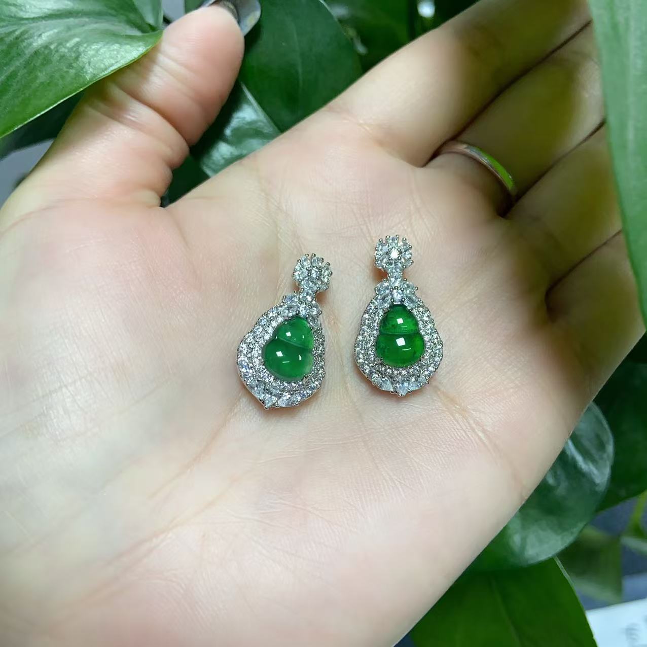 2502250188 CYX  翡翠葫芦 40537（多样性发其一）