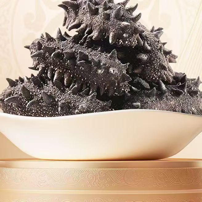 【4大盒赠1试吃+1泡发瓶】国标特级冷水速发高品质刺参海参  蜊干