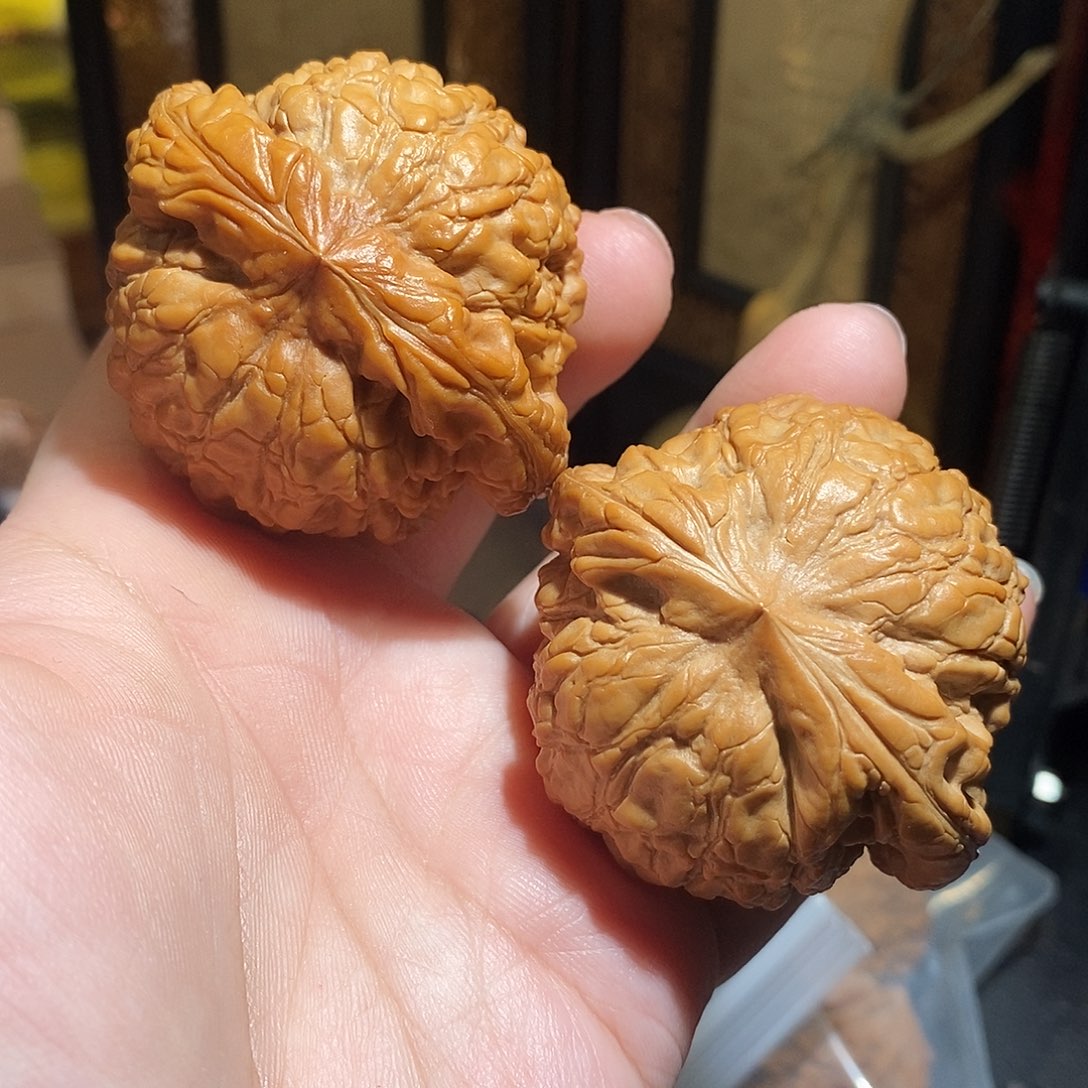 文玩核桃把件55龙鼎全品