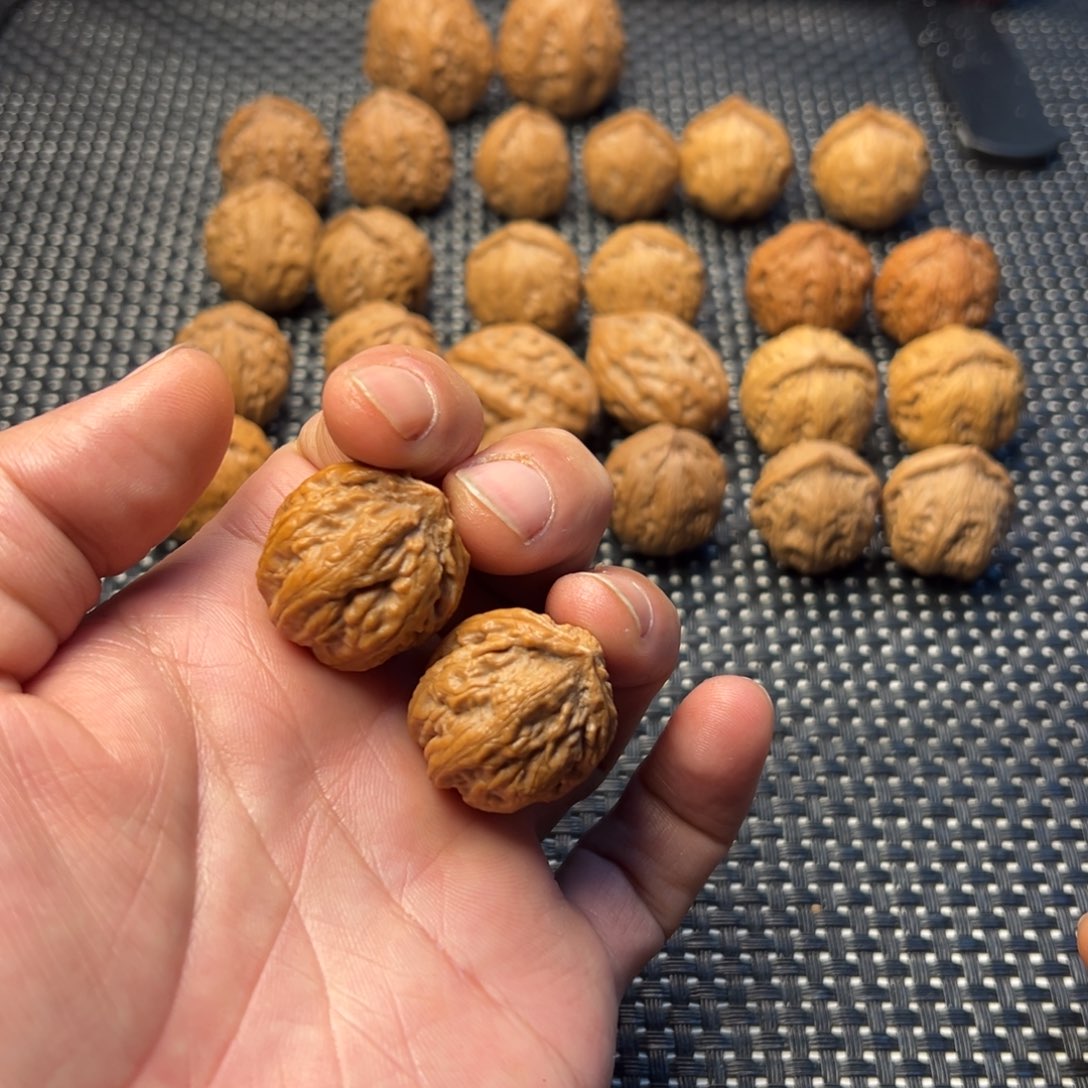 文玩核桃把件粗筋小八棱