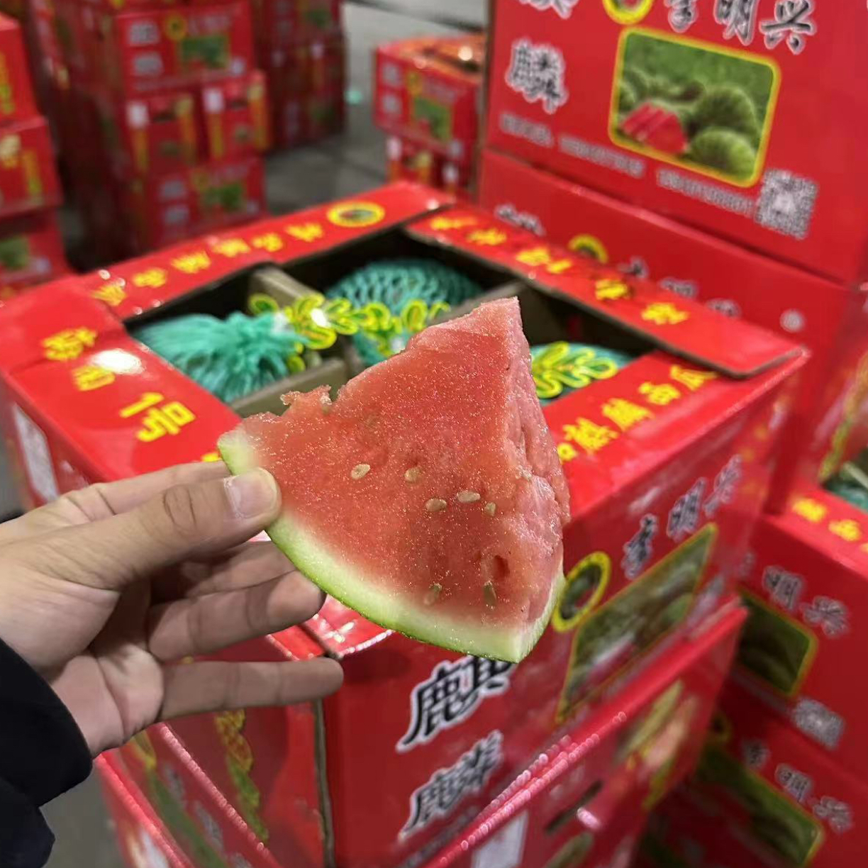 李麒麟西瓜一个6斤左右脆甜多汁薄皮红壤当季有机新鲜水果海南省