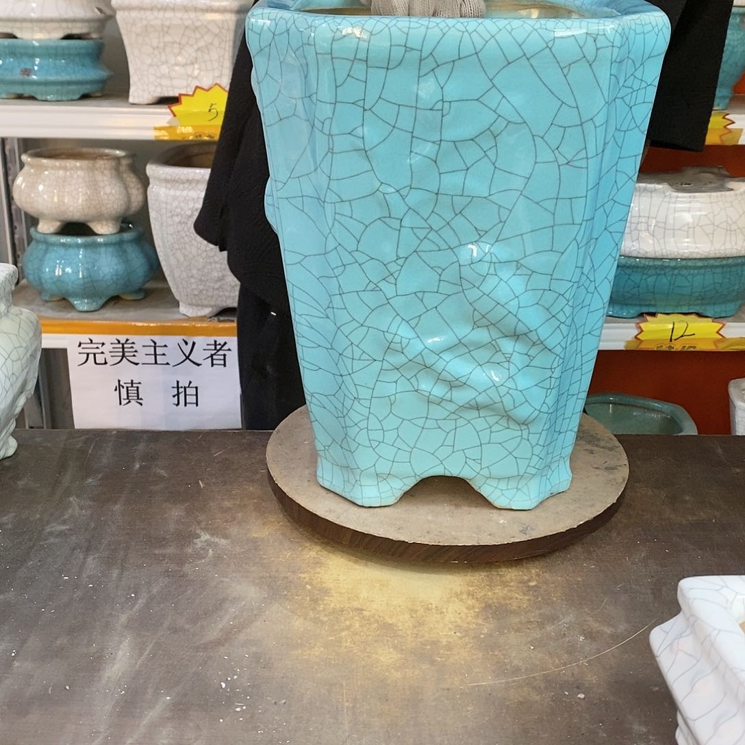 胖*哦瑕疵花盆花盆里的