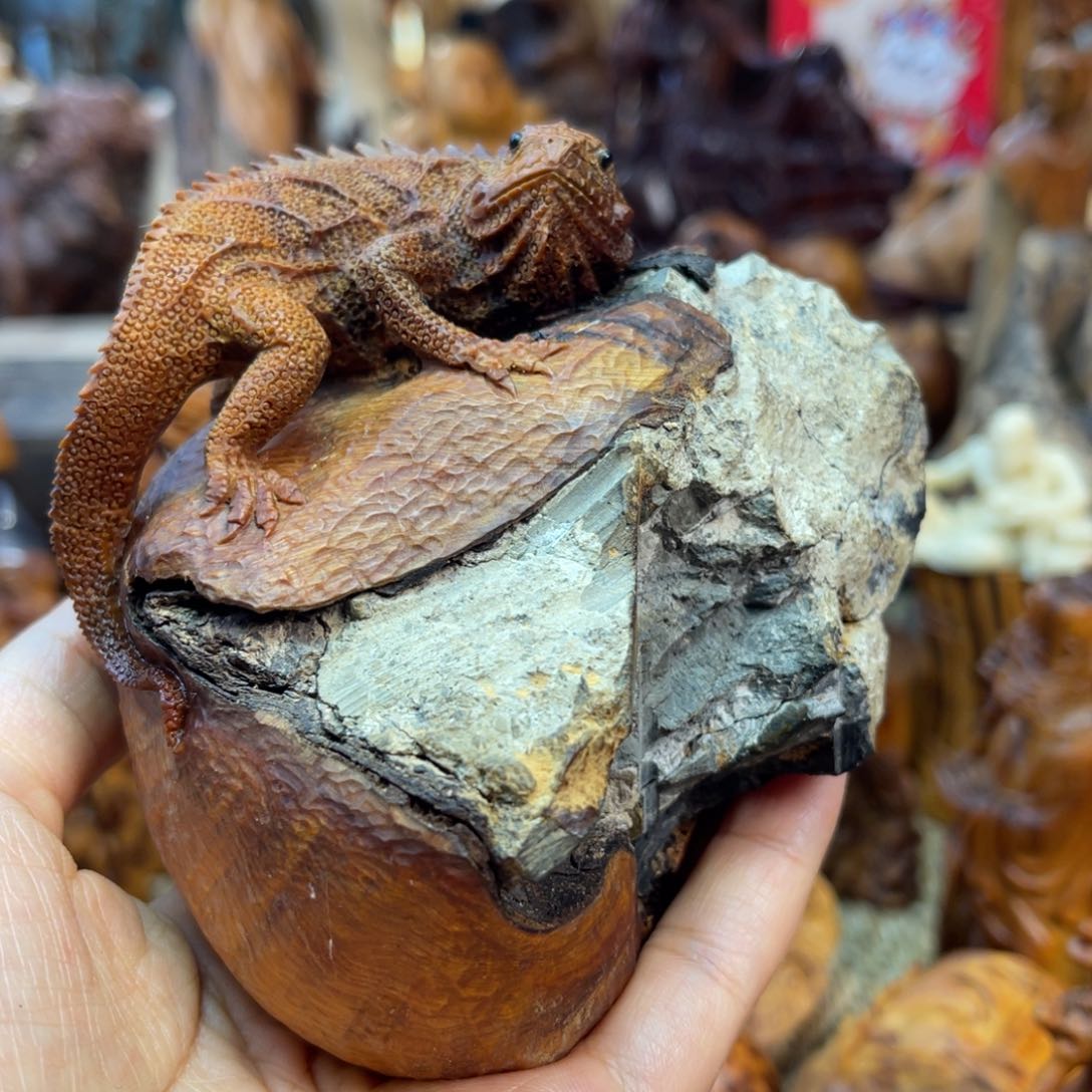 柏木冰*微瑕蜥蜴不退换