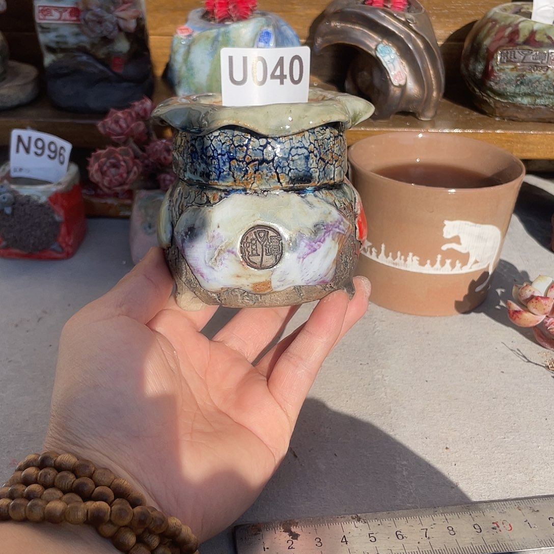 坛子姐多肉花盆内口5