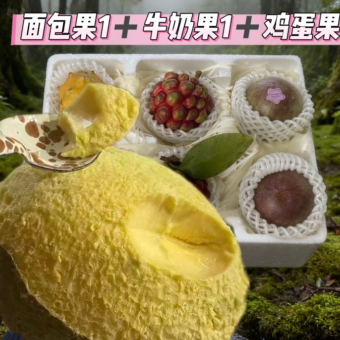稀有热带水果礼盒面包果燕窝果鸡蛋果人心果混搭畅享热带风情