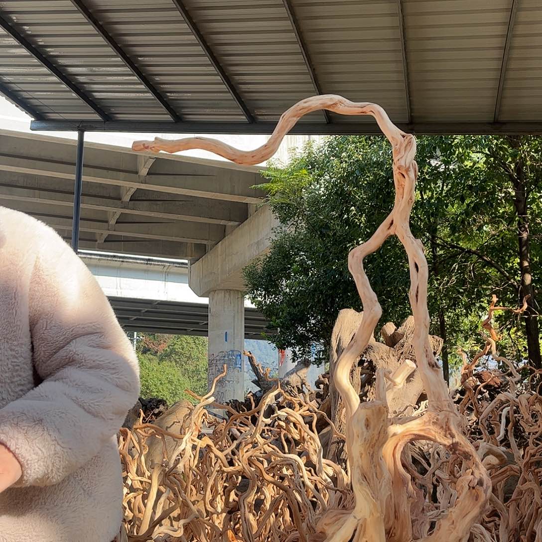 闲***闲木208积极积极积极积极积极了