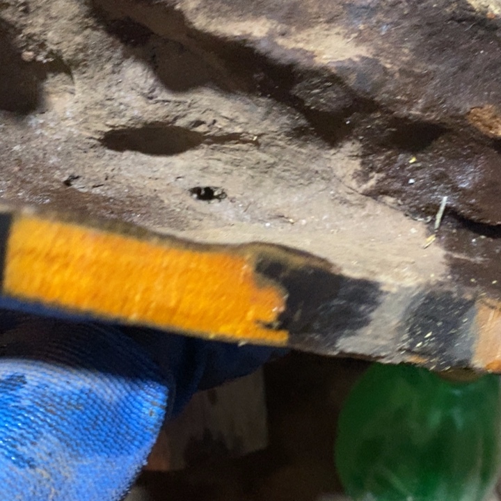 把件贡木心***觉定制不退不换