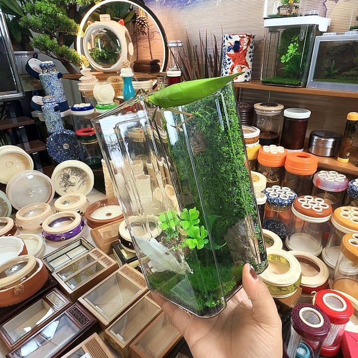 10/20盒子➕素背啊啊啊啊啊