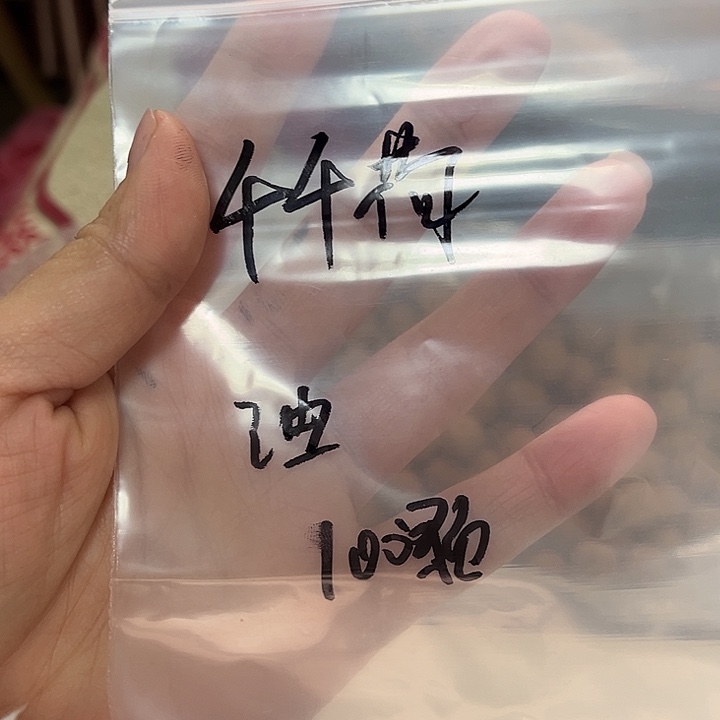 千***荷手串猴头核桃油罐100颗