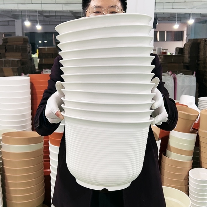 正品矮陶口30高21白色5只无托