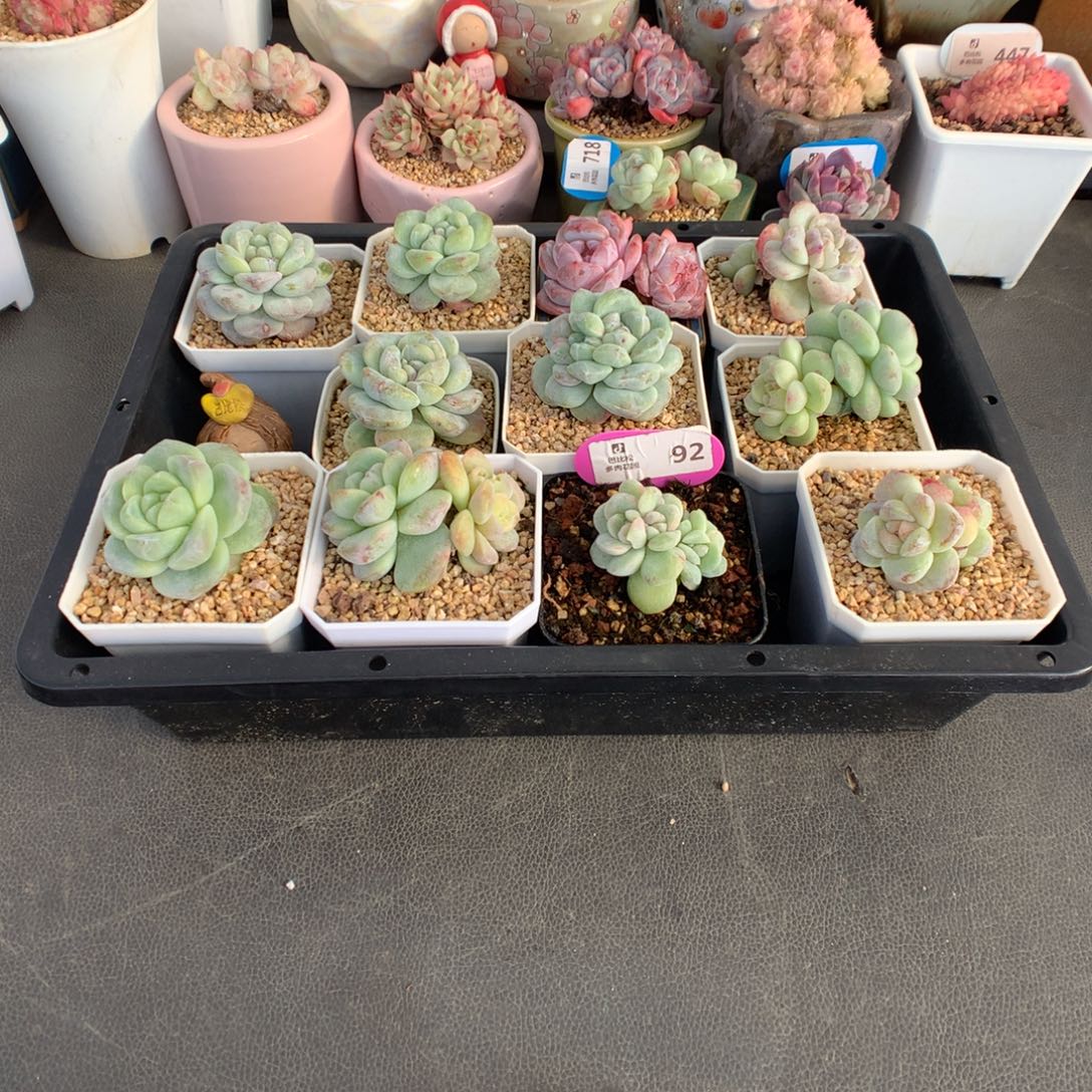 祝****92 一组扣除106余752