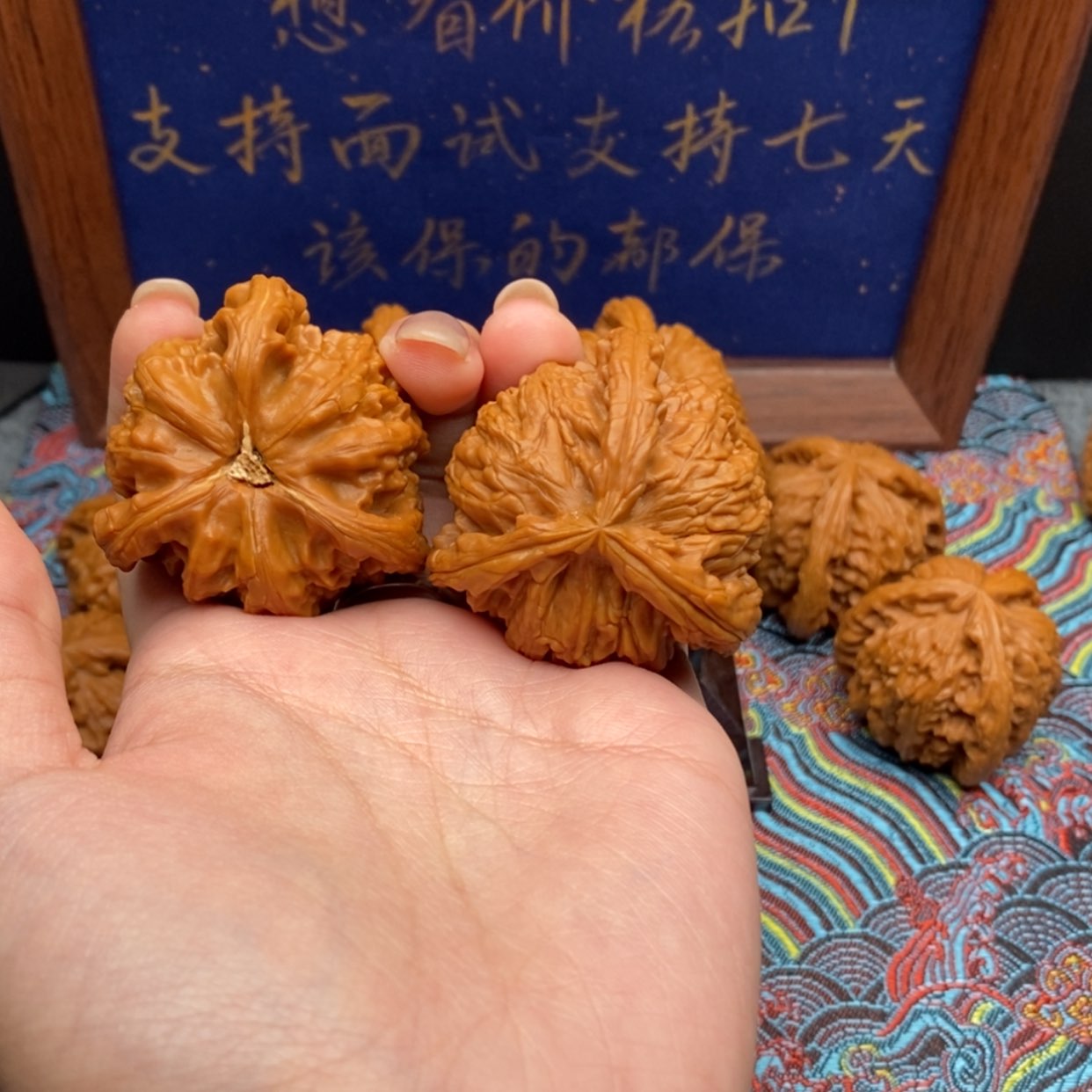 【闪购商品】梦***年白狮