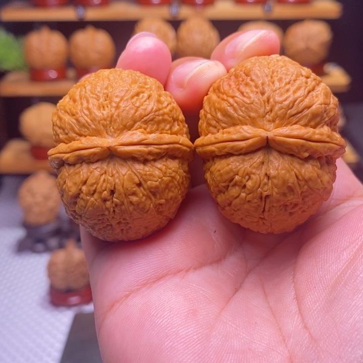 核桃云铁 卧龙元宝22号