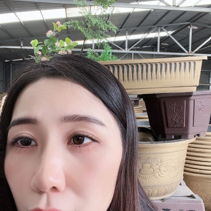 圆40口径花盆八个