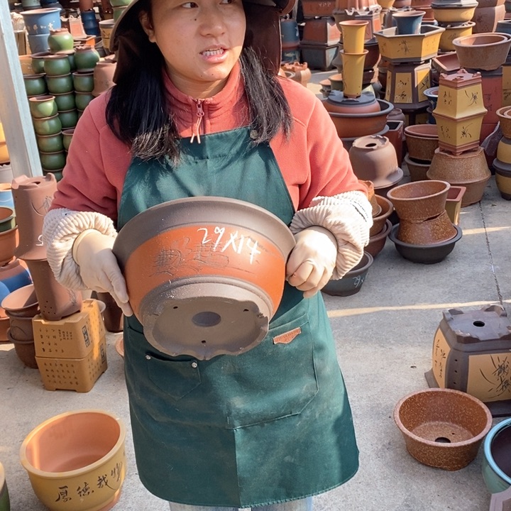 紫砂花盆盆栽花卉苗木种植