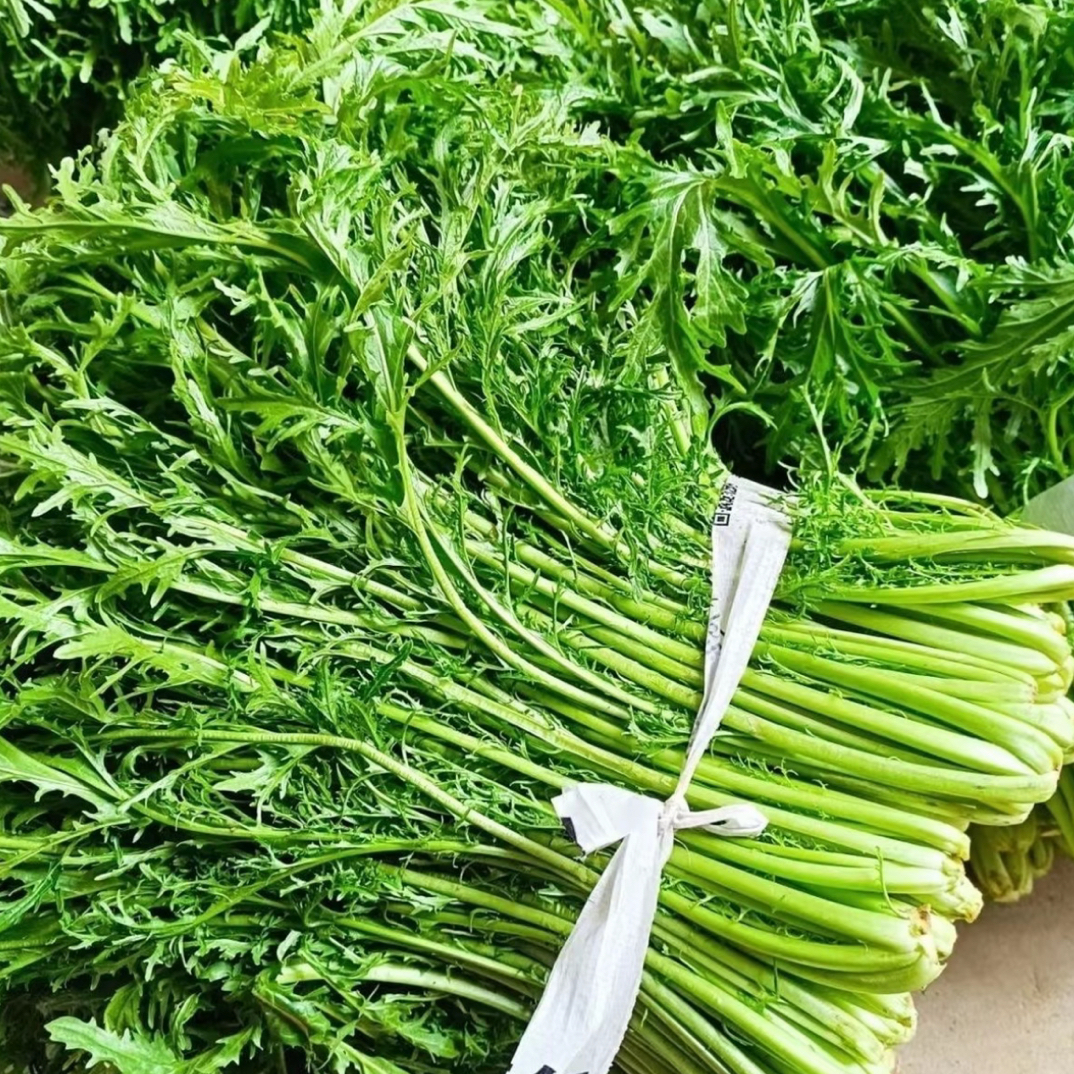 【雪里红】-新鲜农家自种高山蔬菜营养美味