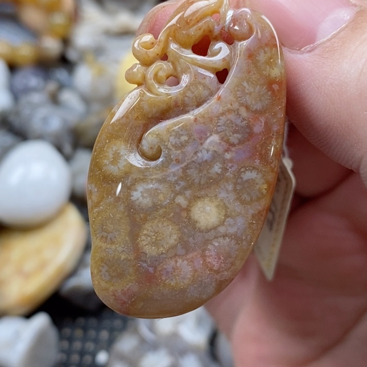 颈饰未镶嵌硅化珊瑚（珊瑚玉）